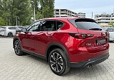 IMG_3893.JPG