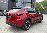 IMG_3896.JPG