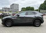 IMG_4011.JPG