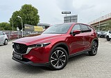 IMG_3885.JPG