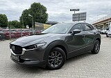 IMG_4003.JPG