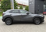 IMG_4016.JPG
