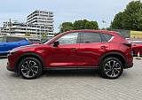 IMG_3892.JPG