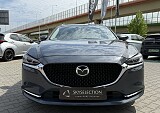 IMG_3720.JPG