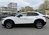 IMG_3547.JPG