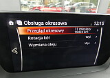 P1060304.JPG