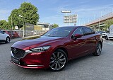 IMG_4216.JPG