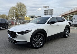 IMG_3542.JPG