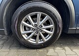 nr_008.jpg