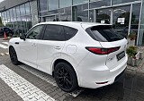 IMG_4245.JPEG
