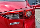 20250517_121538.jpg