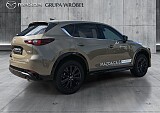 5_e8416580-1e93-4b0e-bf0a-0f7c143944f3_final_image (Large).jpg