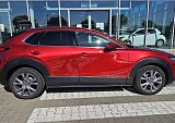 20250520_091037.jpg