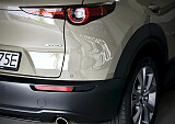 IMG_1243.JPG