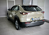 IMG_1246.JPG