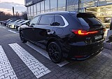 IMG20250218171127 (1).jpg