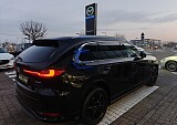 IMG20250218171134 (1).jpg
