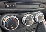 20250527_123750.jpg