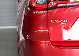 8Z3A8422.JPG