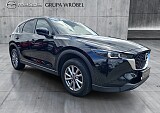 3_b89d2653-9913-4ba9-b1b6-aaa18ba39d17_final_image (Large).jpg