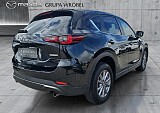 5_5c69e01b-7ff7-4ef2-9922-433b76c3a4eb_final_image (Large).jpg