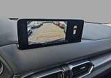 15_d2f8b41e-a0c9-4e3d-860c-cbedf6f4e6a9_final_image (Large).jpg