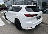 IMG_4168.JPEG