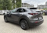 IMG_4013.JPG
