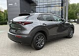 IMG_4015.JPG