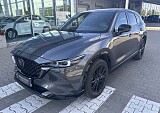 IMG_4205.JPEG