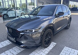 IMG_4205.JPEG