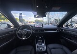 IMG_4210.JPEG
