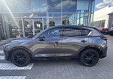IMG_4206.JPEG