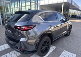 IMG_4199.JPEG