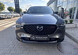 IMG_4203.JPEG