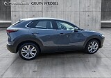 4_b454d697-9d39-4f12-ae69-462ce97979f7_final_image (Large).jpg