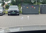 nr_0016.jpg