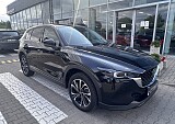 IMG_4535.JPEG