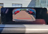20250614_102931.jpg