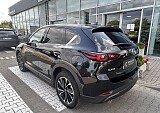 IMG_4543.JPEG