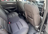 IMG_4538.JPEG