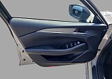 10_4628f4b0-9d9c-4733-81ca-f3fd006618a6_final_image (Large).jpg