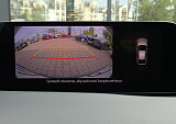 P1060588.JPG