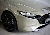 8Z3A8007.JPG