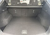 IMG_4625.JPEG