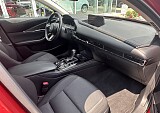 IMG_4519.JPEG