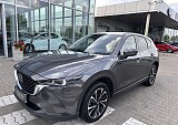 IMG_4704.JPEG
