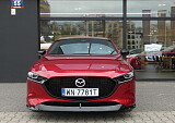 P1060619.JPG