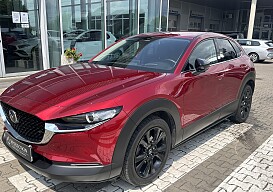 IMG_4504.JPEG