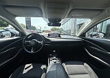 IMG_4515.JPEG